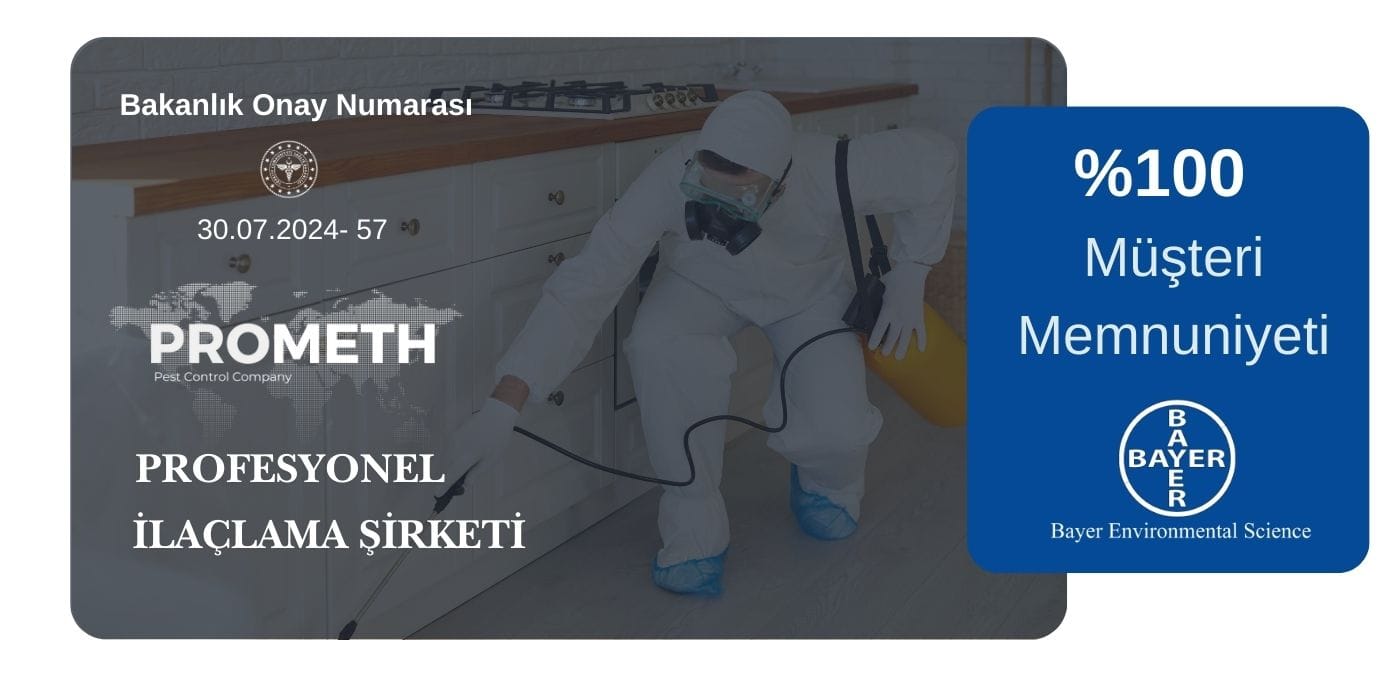 Kocaeli profesyonel böcek ilaçlama uygulaması